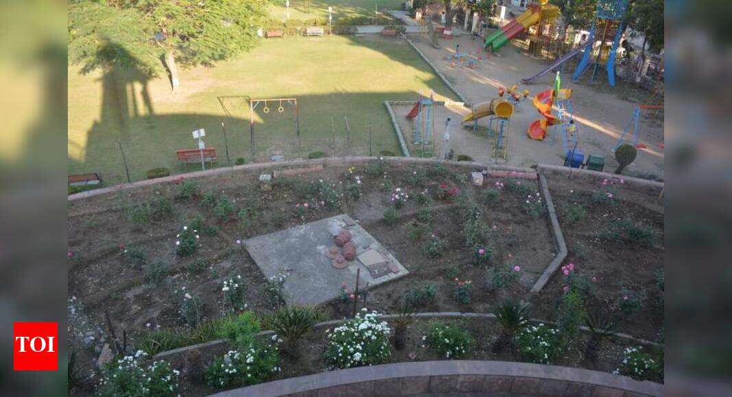 NMC begins to develop rose garden Nagpur News Times of India