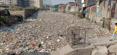 Garbage has accumulated on nullah.