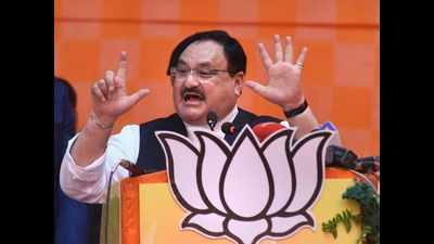 'Bihar has Modi's blessings': BJP chief JP Nadda's reach out message for party workers