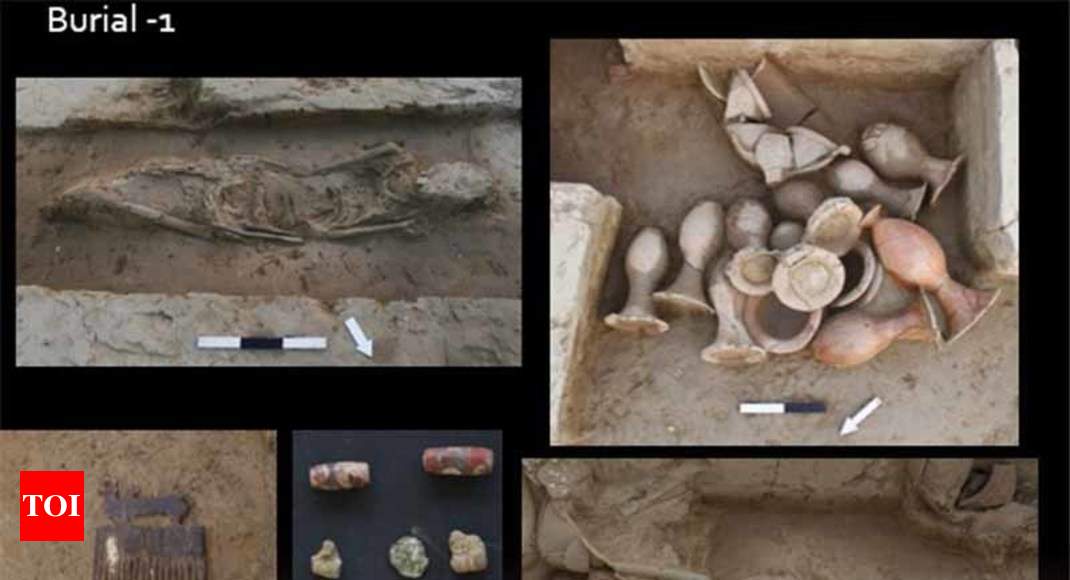 India S Largest Known Burial Site Is 3 800 Yrs Old Confirms Carbon Dating India News Times Of India