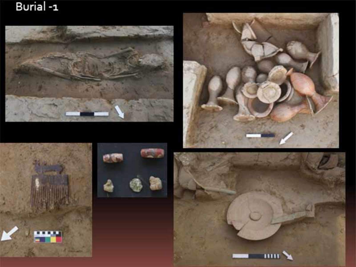 India S Largest Known Burial Site Is 3 800 Yrs Old Confirms Carbon Dating India News Times Of India