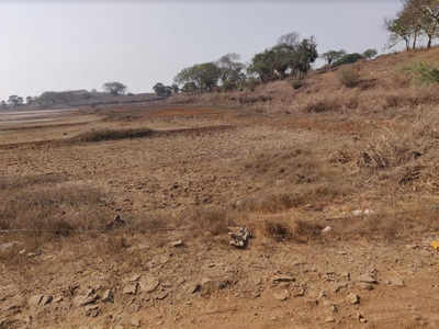 Maharashtra CM responds to greens’ outcry on Uran wetlands' destruction