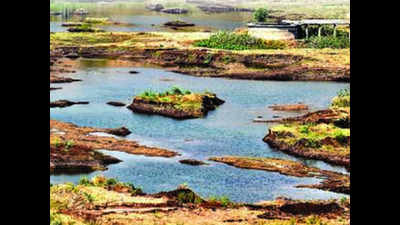 Maharashtra: Ahead of summer, Osmanabad and Latur stare at water shortage