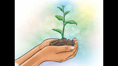 ‘Plant saplings for bar registration in Bhagalpur’