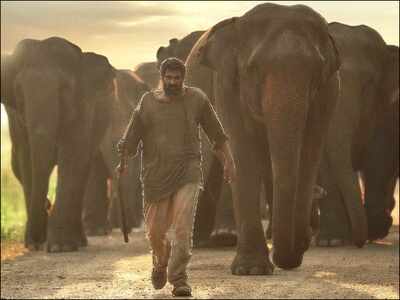 Rana Daggubati lost nearly 30 kilos to look his part in Prabhu Solomon’s Aranya