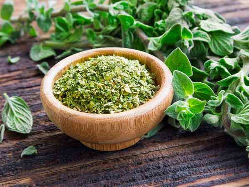 Why you should use oregano in your cooking - Times of India