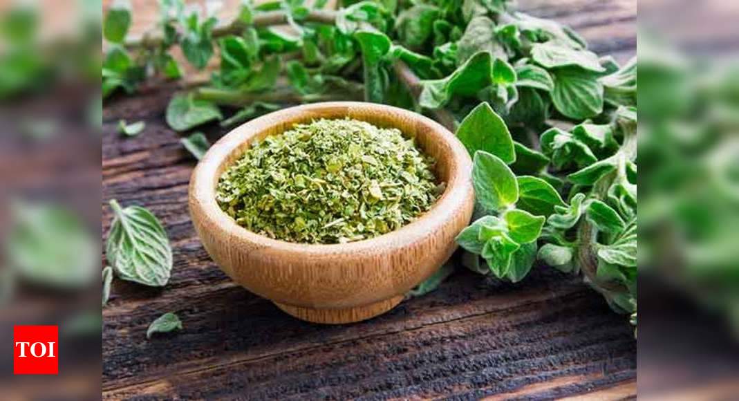 Why You Should Use Oregano In Your Cooking Times Of India