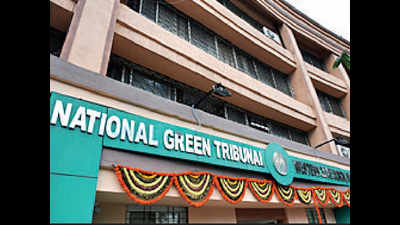 Eyes on SC relief to resume work at NGT bench