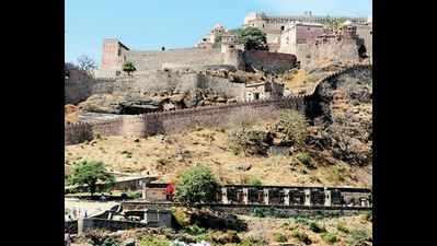 Can Kumbhalgarh be upgraded to a tiger reserve: NTCA to Rajasthan