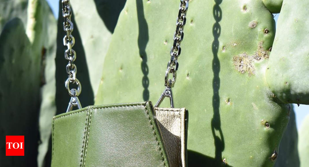 Two men have finally created leather from cactus and this will save  approximately 1 billion animals from being killed - Times of India