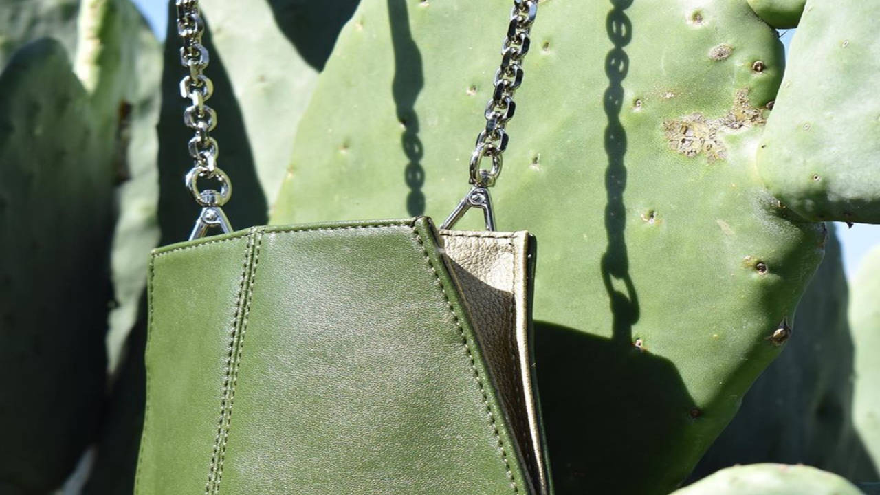 Leather from store cactus