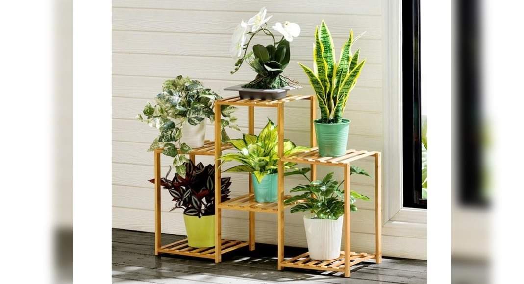 Best low-maintenance indoor plants to add greenery to your ...