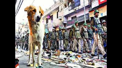 Uneasy calm after storm at the epicentre of riots | Delhi News - Times ...