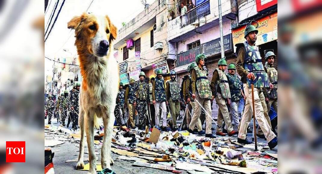 Uneasy calm after storm at the epicentre of riots | Delhi News - Times ...