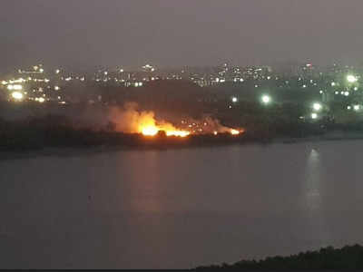 Navi Mumbai: Mangroves set on fire again by land grabbers in Ulwe