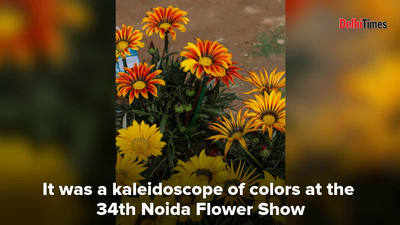Floral fiesta at Noida Flower Show 2020