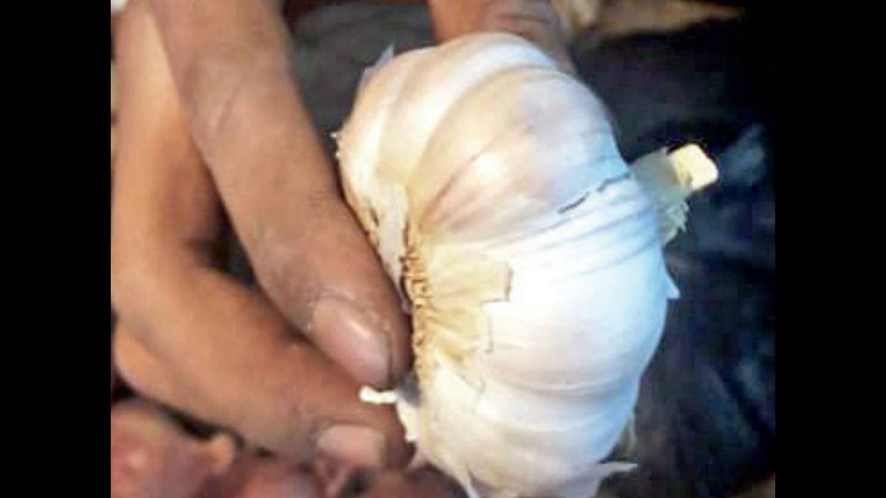 Coronavirus in Kolkata: Coronavirus kills toxic Chinese garlic trade in  Kolkata | Kolkata News - Times of India