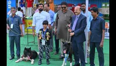 Dog is trusted lieutenant of man: RTI commissioner Ramana Kumar