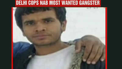 Most wanted criminal carrying Rs 6.5 lakh reward arrested in Gurugram
