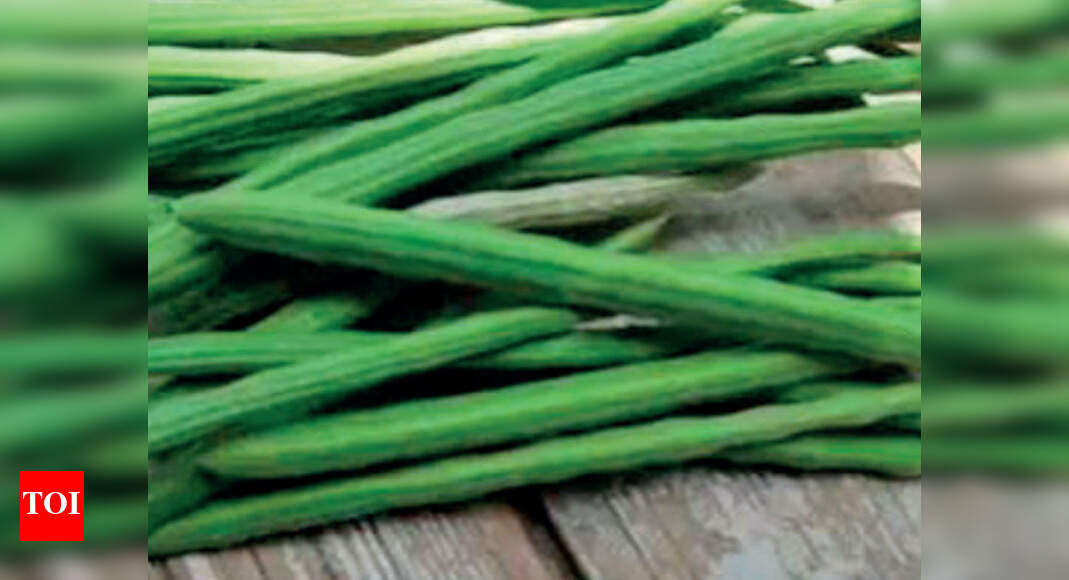 Drumstick prices come down in Chennai Chennai News Times of India