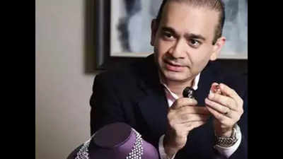 Bombay high court refuses to stay ED auction as Nirav Modi's son insists paintings belong to a trust