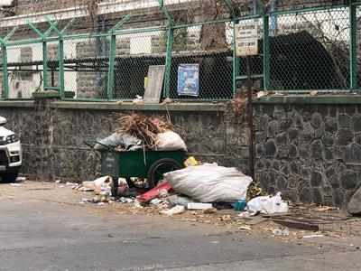 Shimla office backyard surrounded by foul garbage