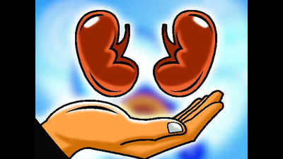 State records third cadaveric kidney transplant in a month