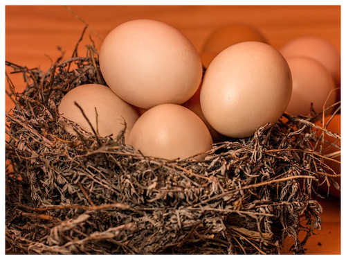 6 types of eggs that you can eat! | The Times of India