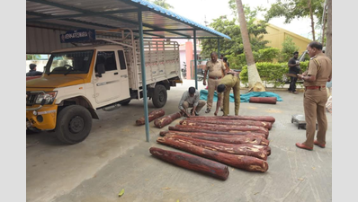 Tamil Nadu police seize red sanders logs being smuggled on minitruck