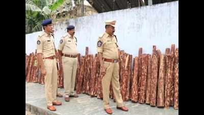 Tirupati: Chittoor police arrest 2 red sanders smugglers, seize 1.3 tonne of logs