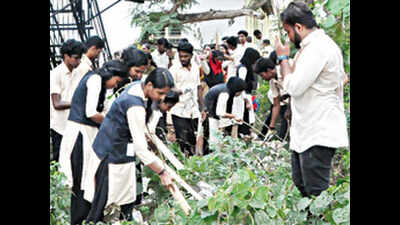 Polytechnic college on path to green campus | Thiruvananthapuram News ...
