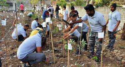 A step towards creating artificial manmade forests in Sangli and Kolhapur districts