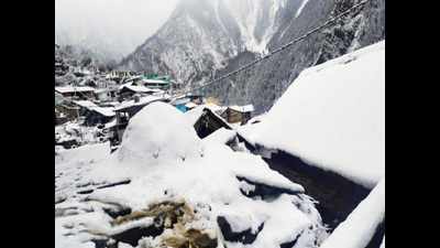 Himachal Pradesh: Several places including Shimla receive fresh snowfall