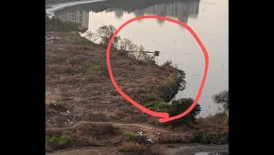Navi Mumbai: Seawoods locals allege encroachment into wetland