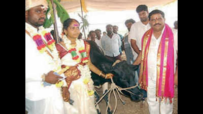 103 couples get a cow each as wedding gift in Karnataka