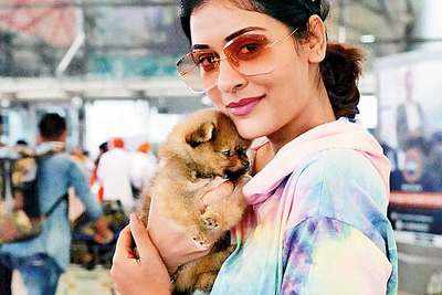 How Payal managed to fly home with her pet in tow