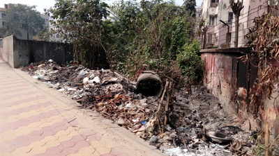 Garbage accumulation beside the road in Ajoynagar!