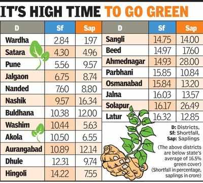 20 Dists Need To Plant Over 240cr Saplings To Achieve Maha Green Cover ...