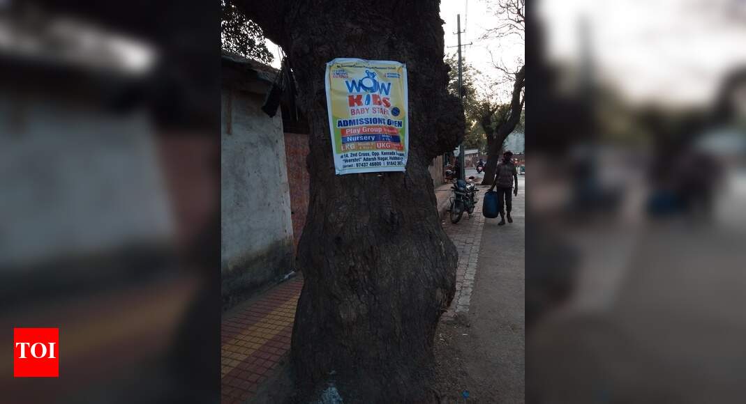 Nailing trees continues in the city - Times of India
