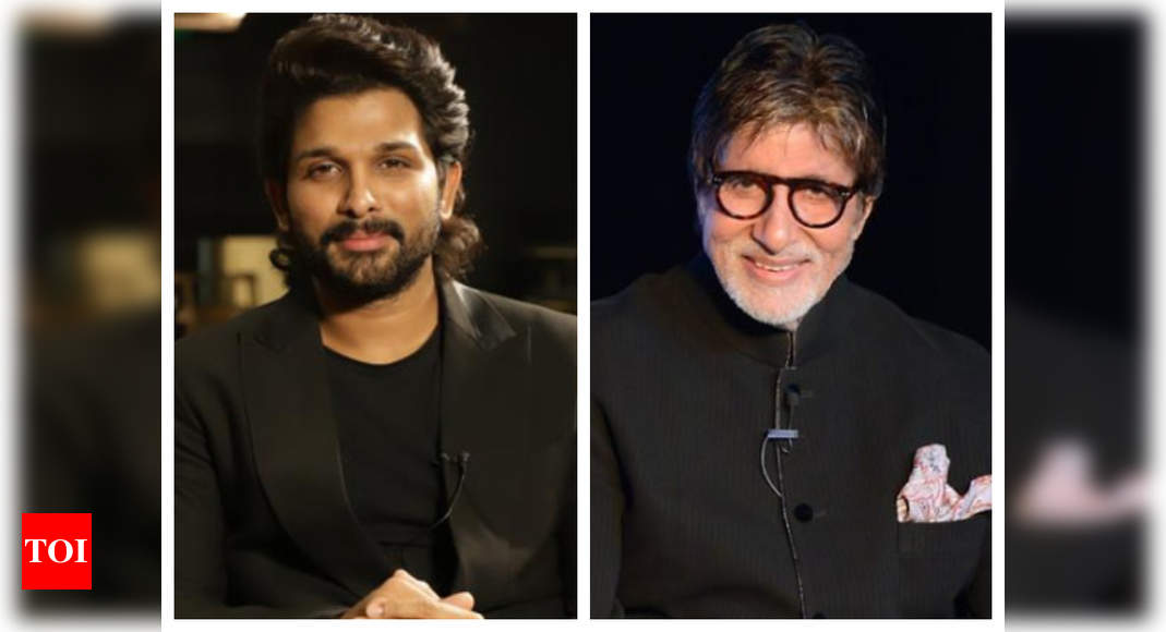 Telugu Star Allu Arjun Is All Inspired By Amitabh Bachchan, Says At 70 ...