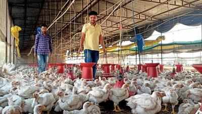 Want to die before burying alive 9,000 birds: Poultry farmer