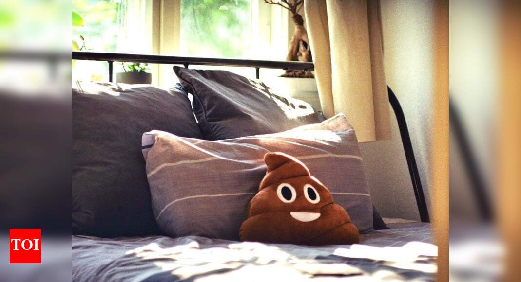 bright funky cushions