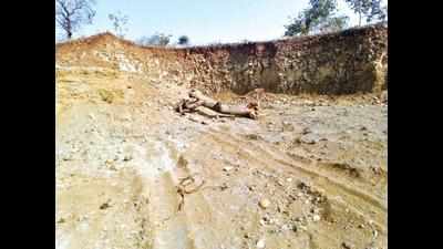 Forest dept confirms murrum excavation