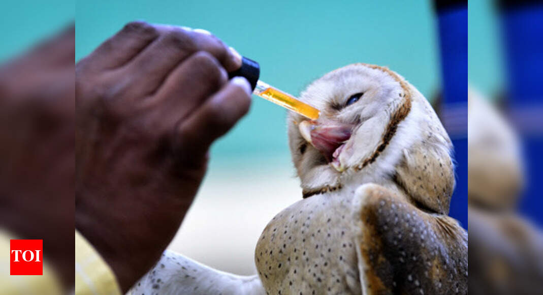 State’s fourth veterinary college to come up in Jodhpur Jodhpur News