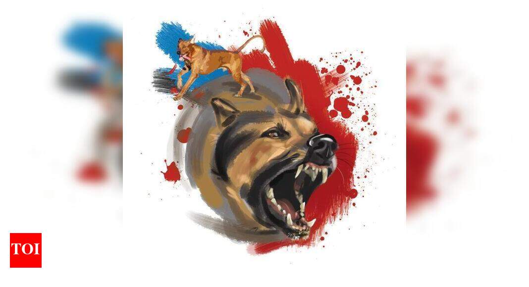 Newborn mauled to death by pack of stray dogs in Navsari | Surat News ...