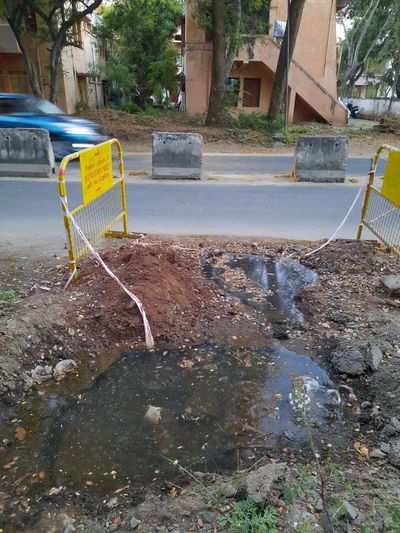 Breeding ground for Dengue in Prime area of Coimba