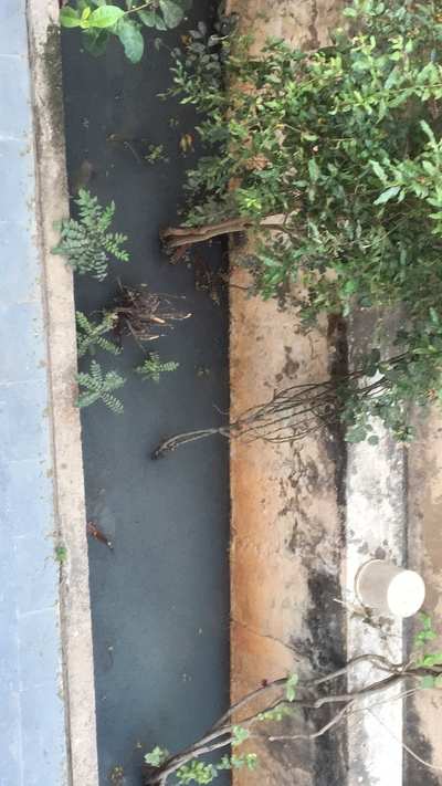 blockage of drainage in Taranagar, Lingampally