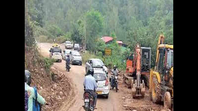 Himachal Pradesh to get two green national highways