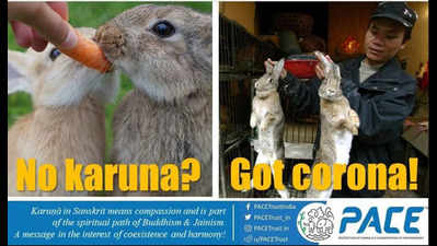 Mumbai: 'Karuna' in the time of corona will save the world, say animal activists