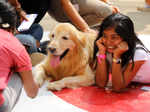 When pets paraded through city’s college campus